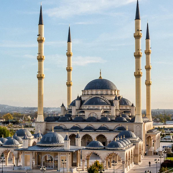 Chechen Translation Service