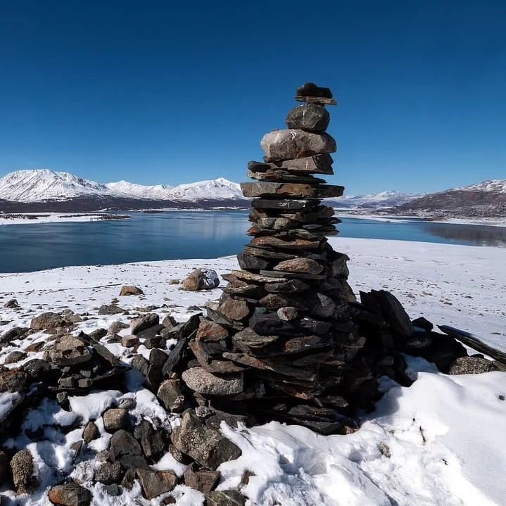 Projects and Solutions in Mongolian