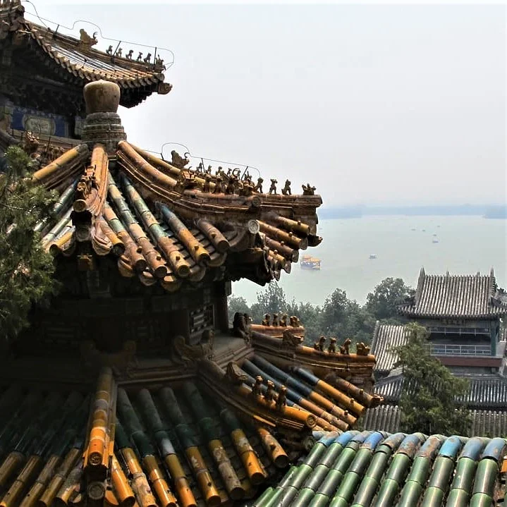 Professional Interpretation and Translation into Chinese