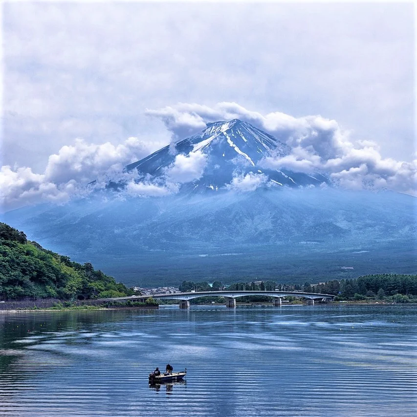 Why PoliLingua is the best in Japanese translations