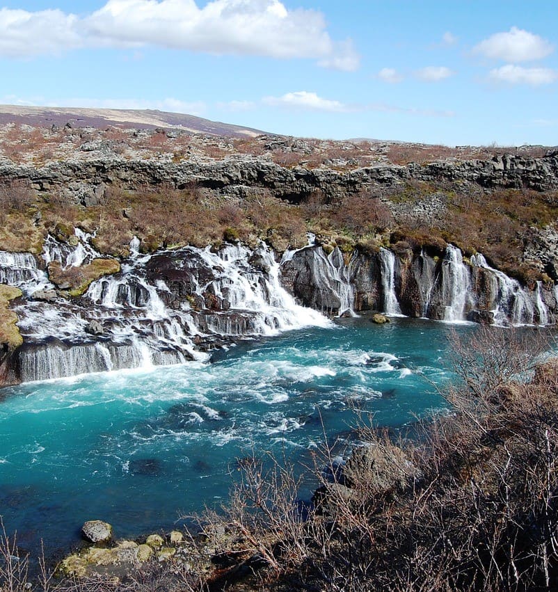 Professional Icelandic Translations of PoliLingua