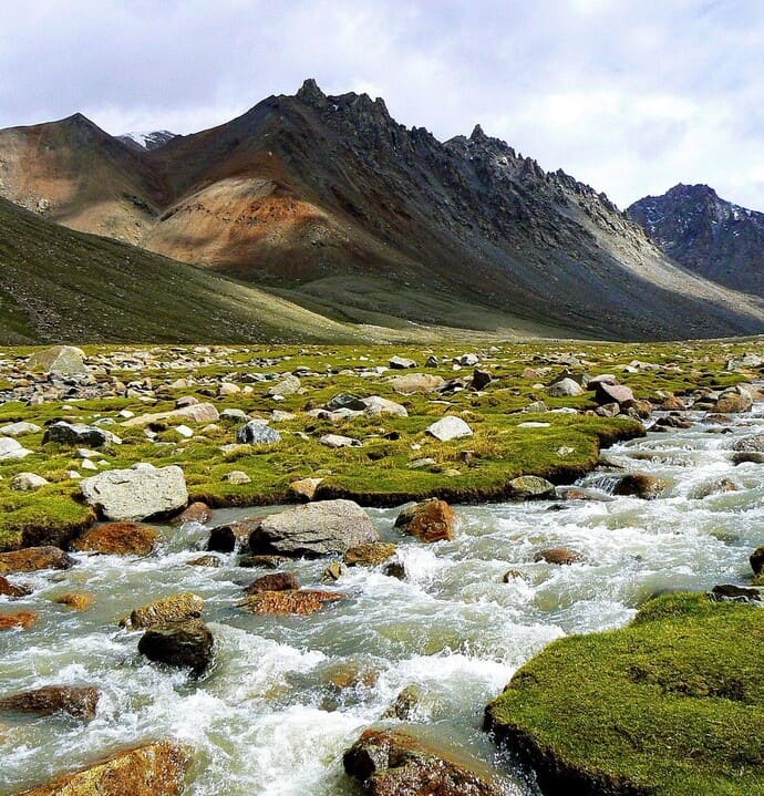 Tibetan writing translation services