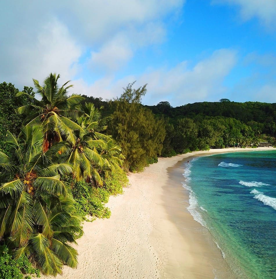 Certified Fijian translations of PoliLingua