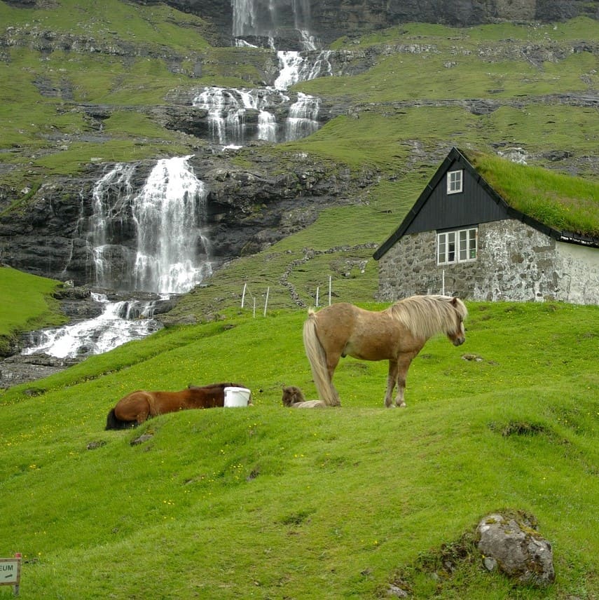 Advantages of our Faroese translations services