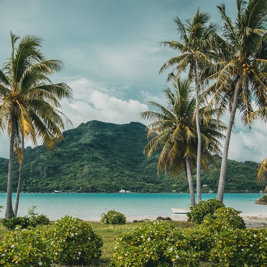 Marshallese language origin and the main features