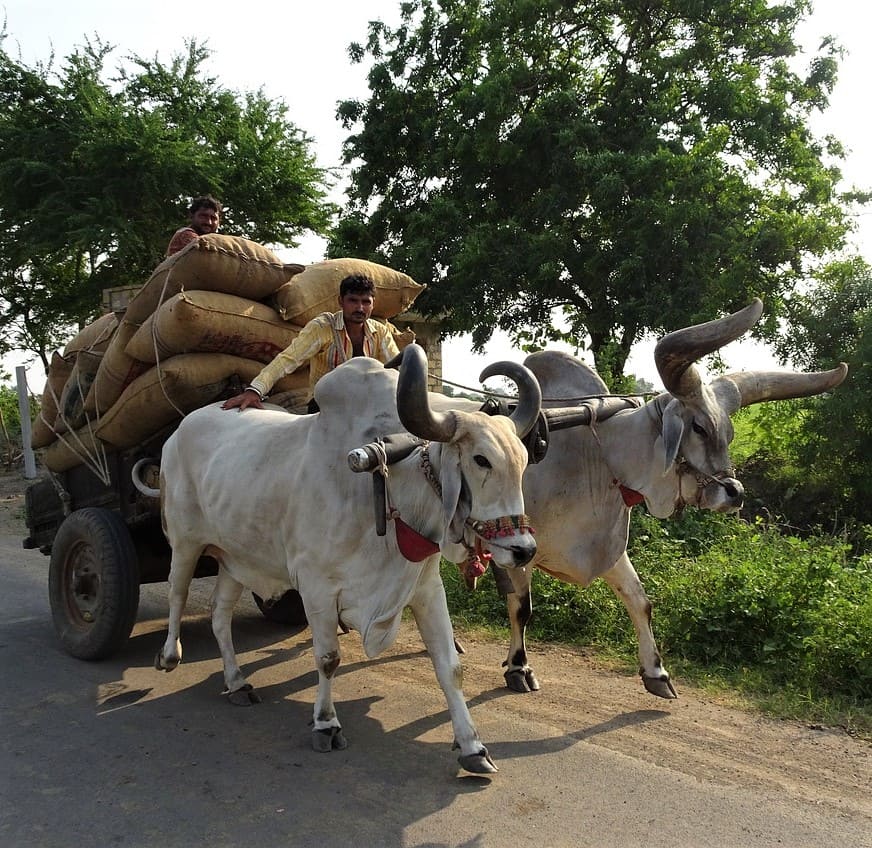 Gujarati translations according to industries