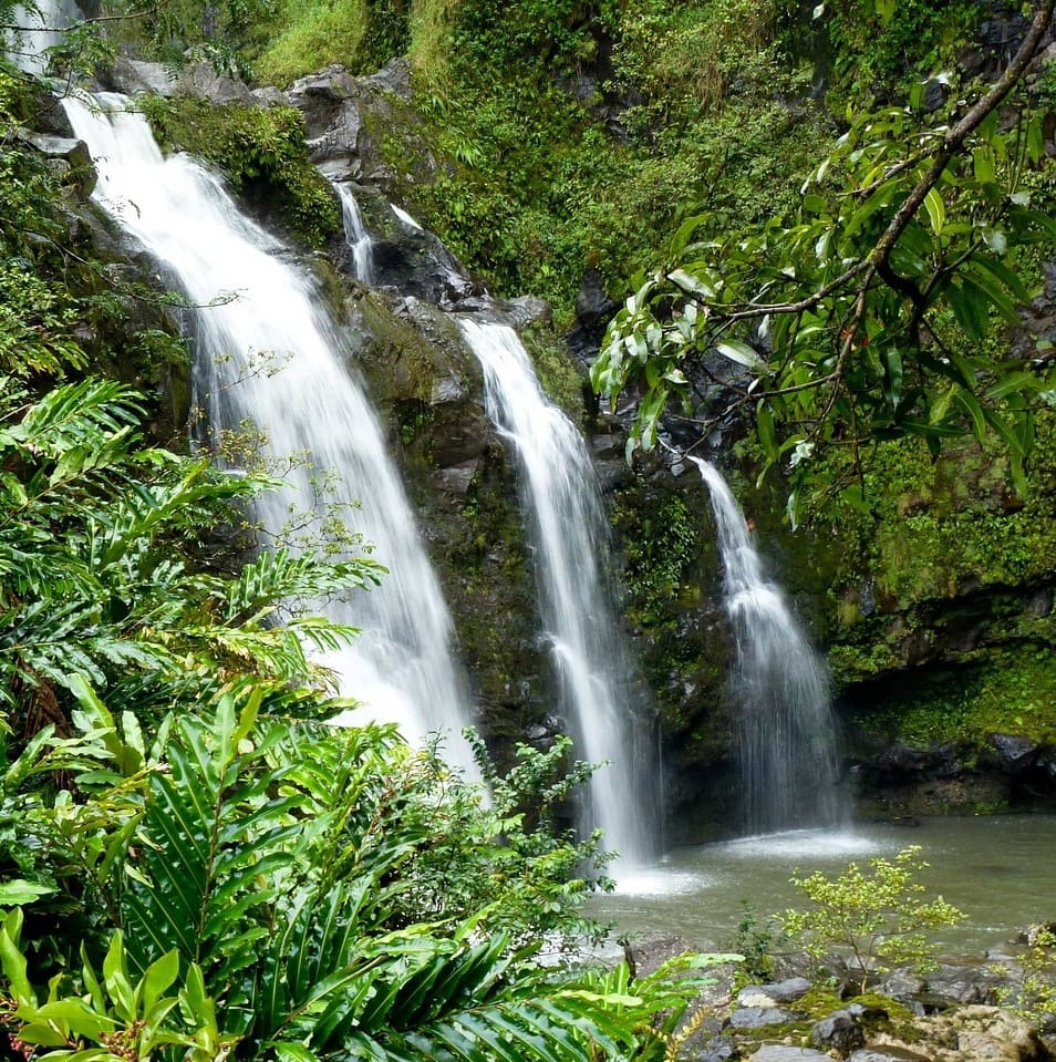 Hawaiian language overview