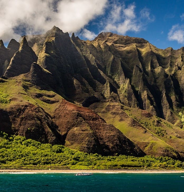 Hawaiian translations according to the industry