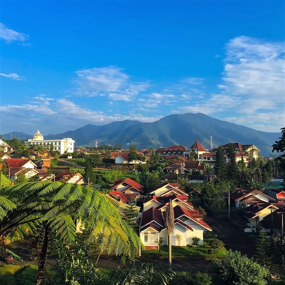 Steps to get our professional Javanese translation