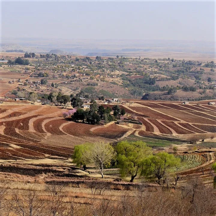Steps to get our professional Sesotho translations