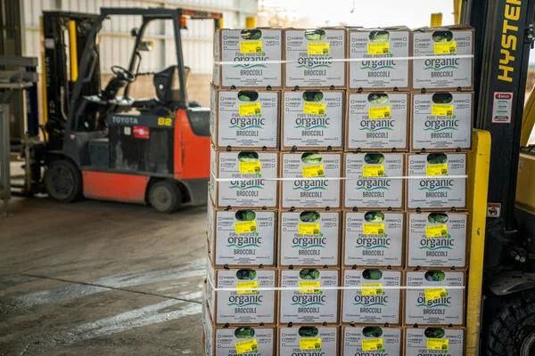 Translating Technical Data Sheets: A Food Industry Case Study