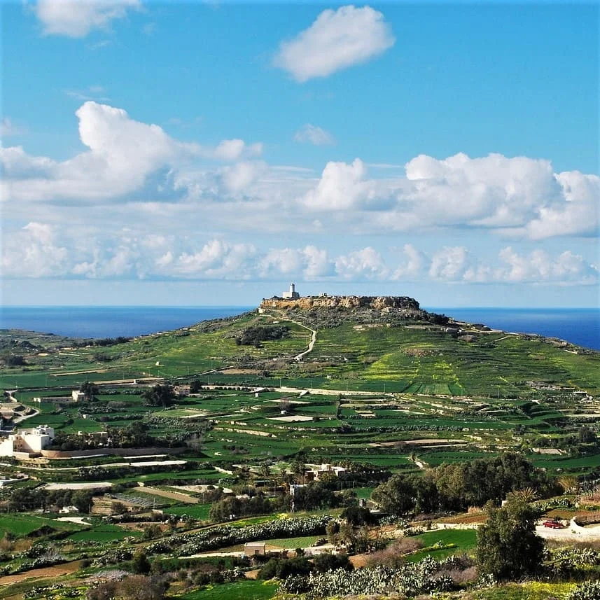 The size of Maltese speaking market