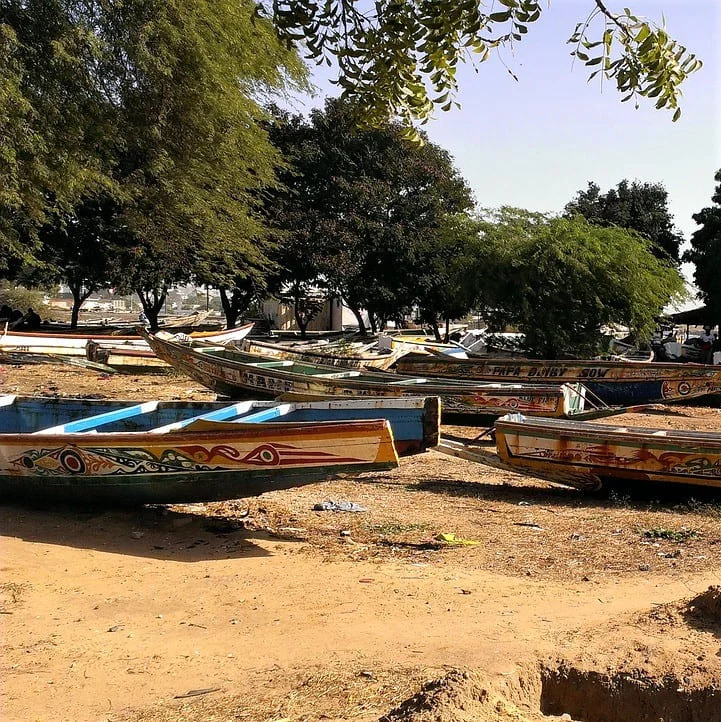 Wolof legal translations of PoliLingua
