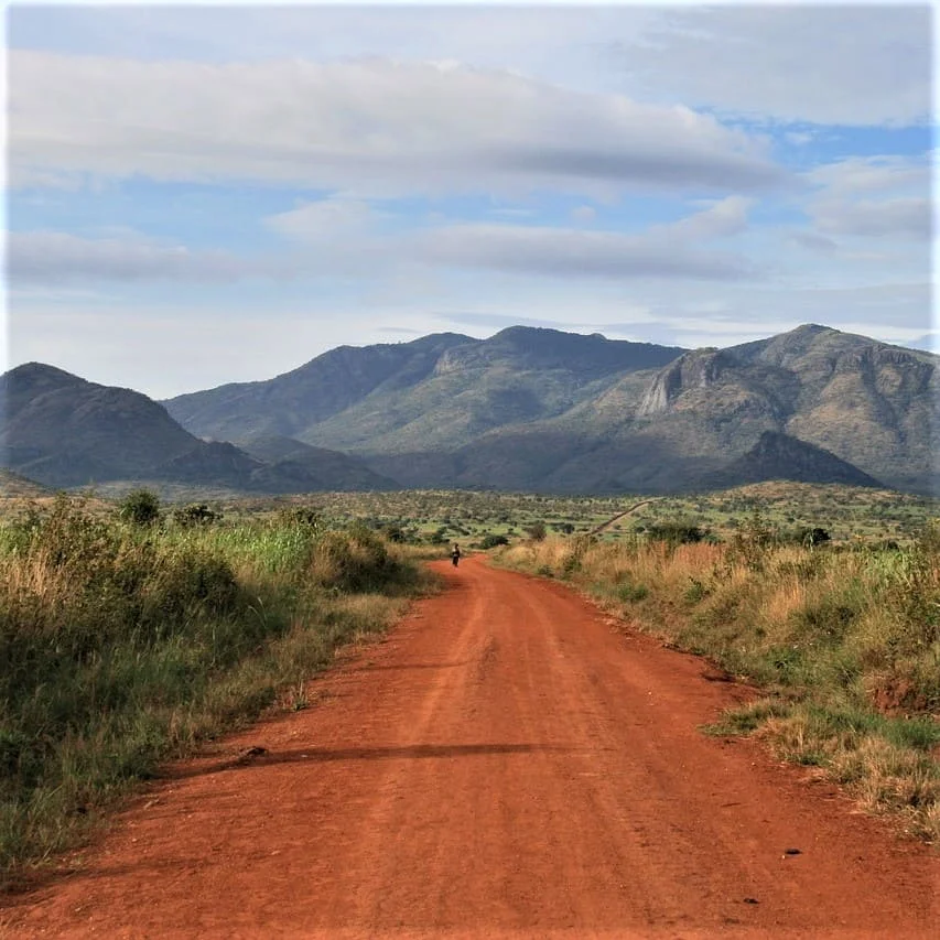 Acholi translation services