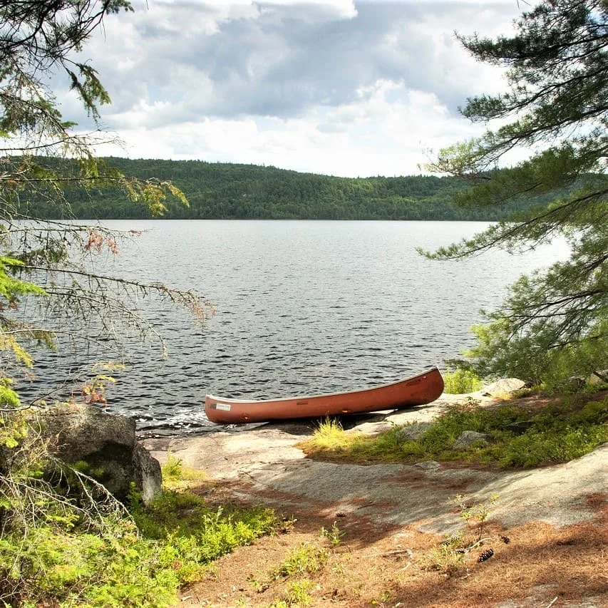 Algonquian Language Translations