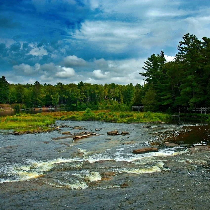 Certified Algonquian Languages Translations
