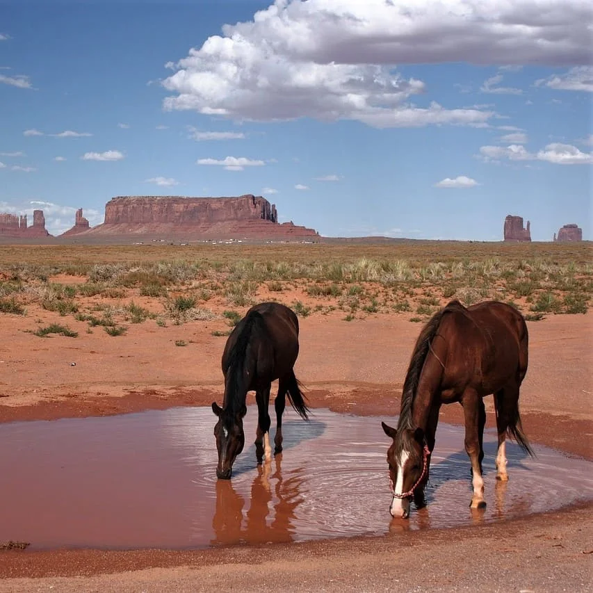 Apache translations and Industry