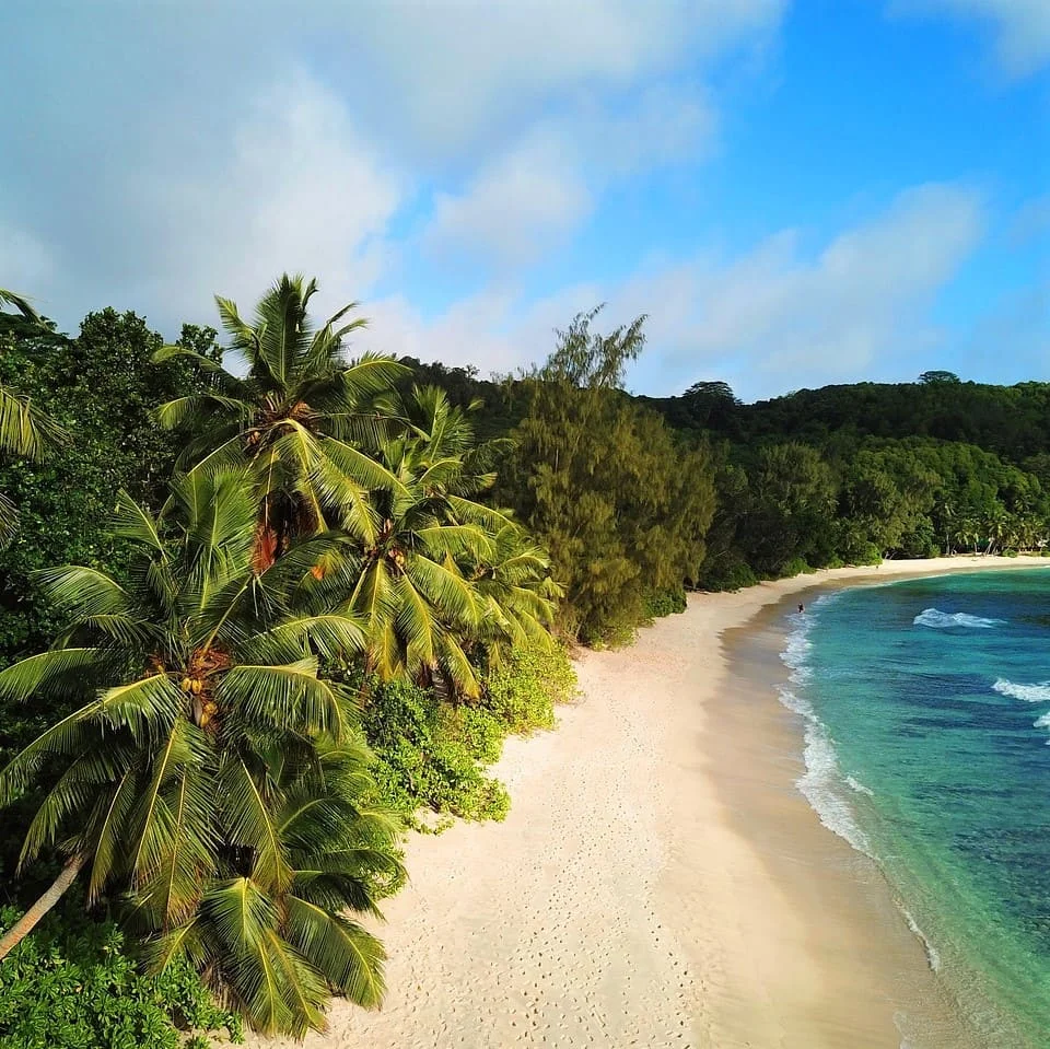 Travel translations of Austronesian languages
