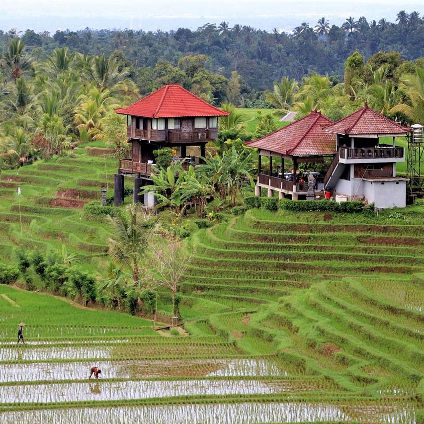 Balinese language origin and the main features