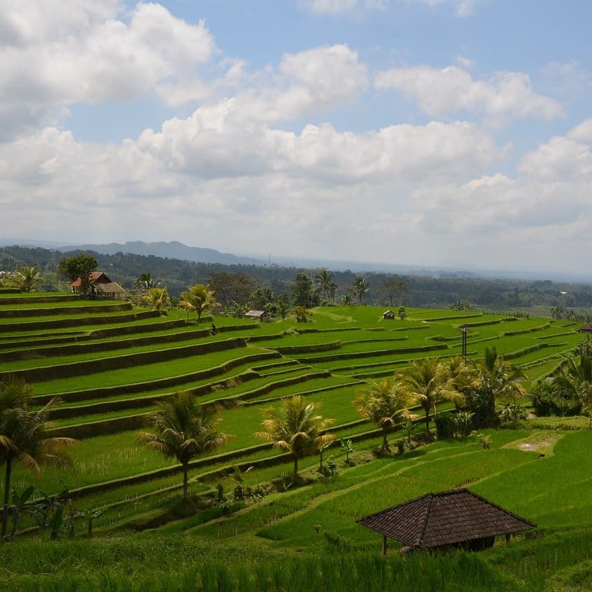 Touristic Balinese translations