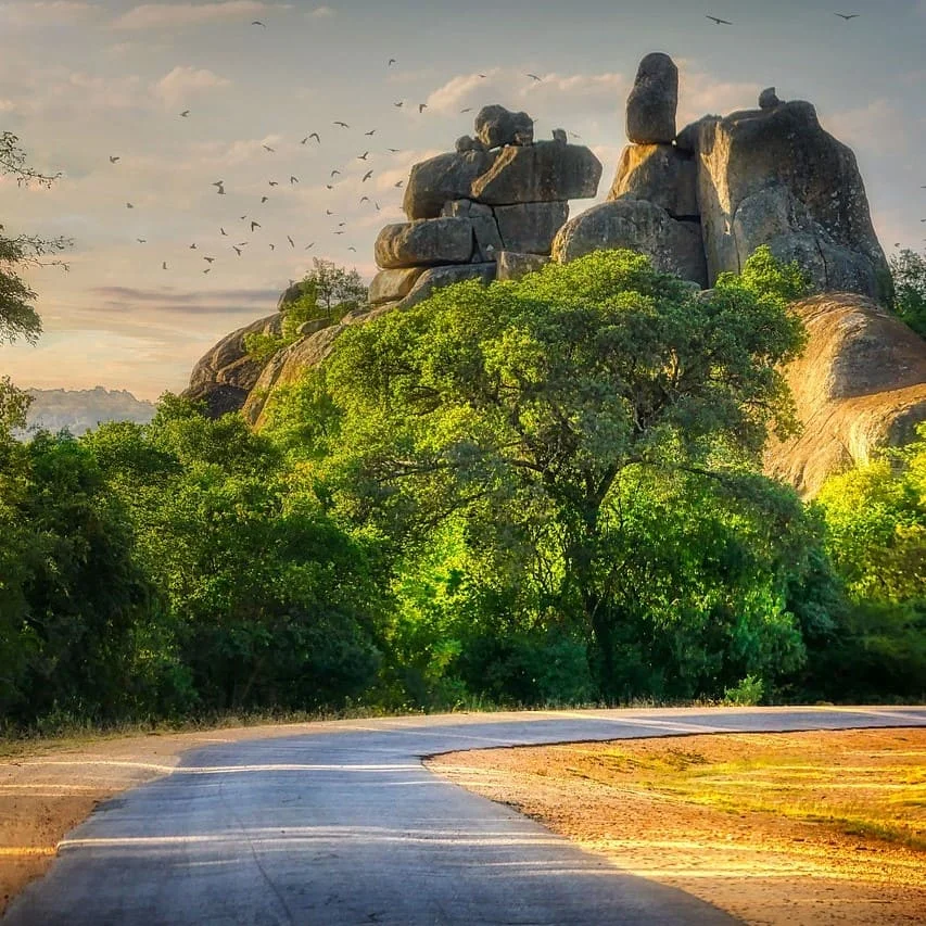 Borana Translation Services