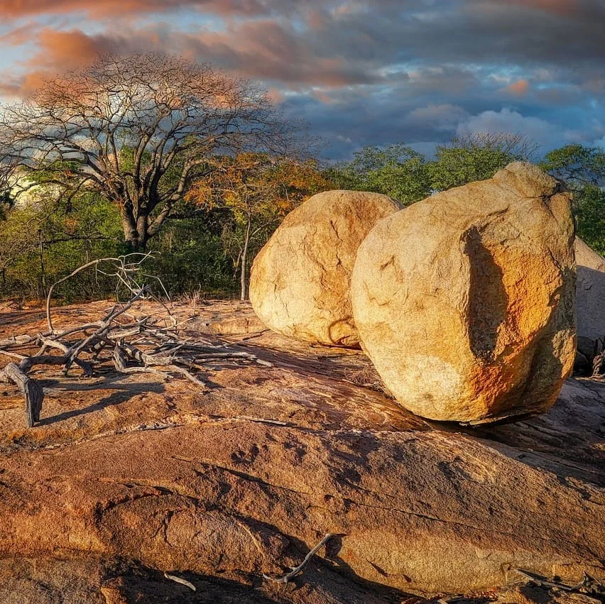 Borana Language Overview