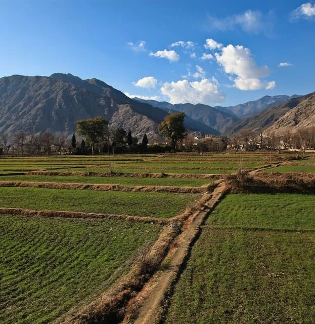 Steps to Get Our Free Quote for Brahui Translation