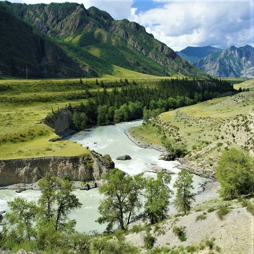 Publishing and Media Buryat Translations