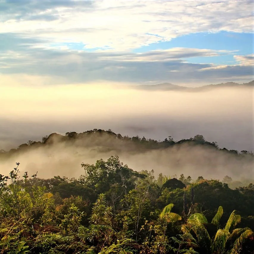 Steps to Get Our Free Quote for Buginese Translation