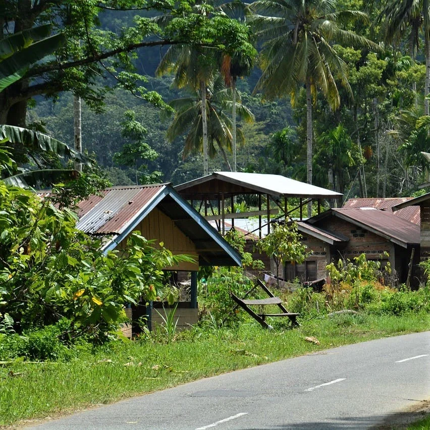 Advantages of Our Buginese Translation Company