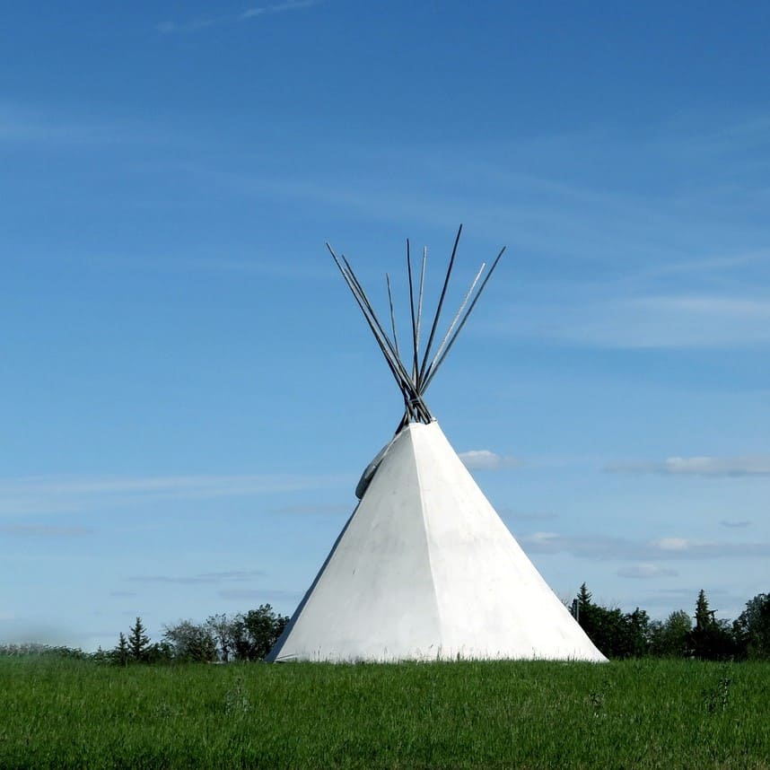 Choctaw Language Translations According to Industries