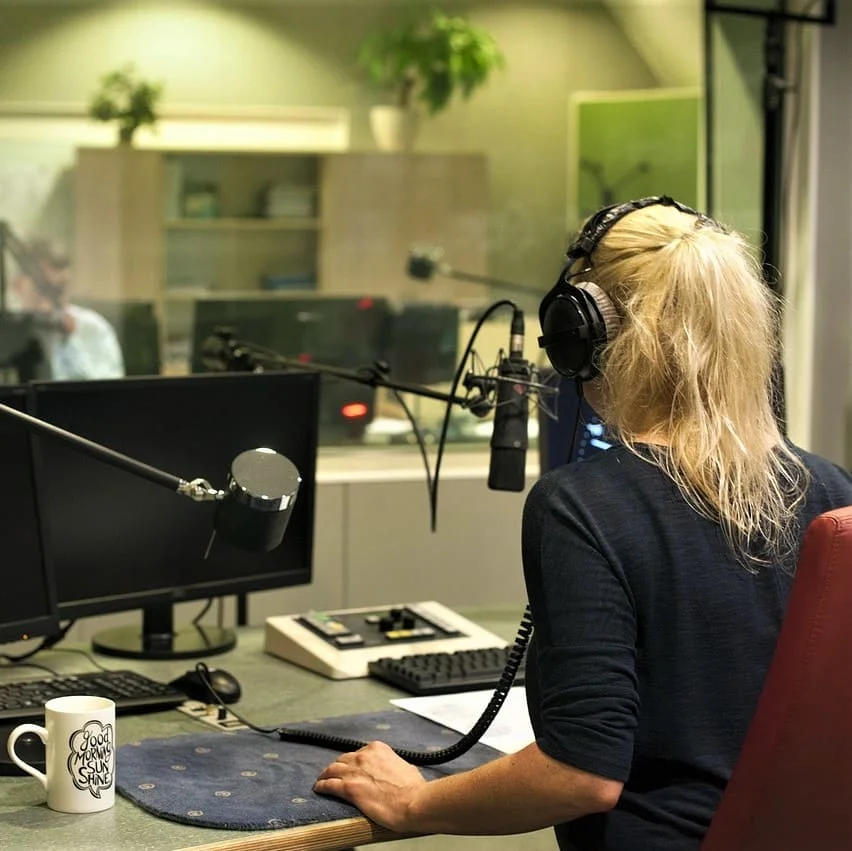 Servicii multilingve de Voice-over