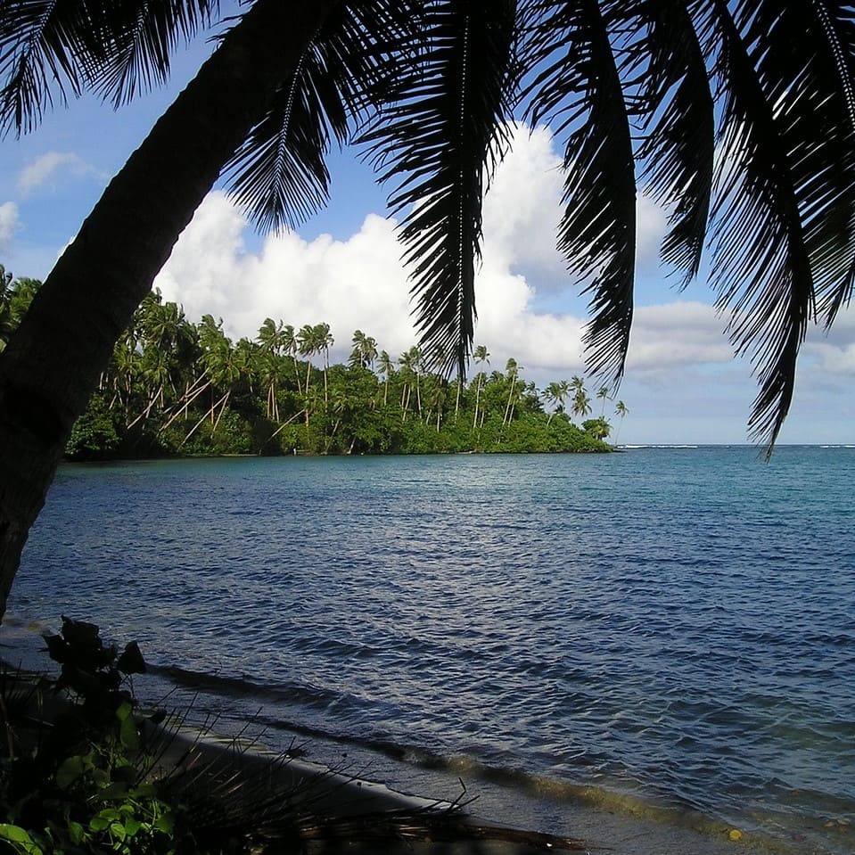 Samoan translation services