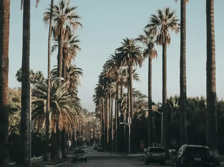 Los Angeles Professional Translation