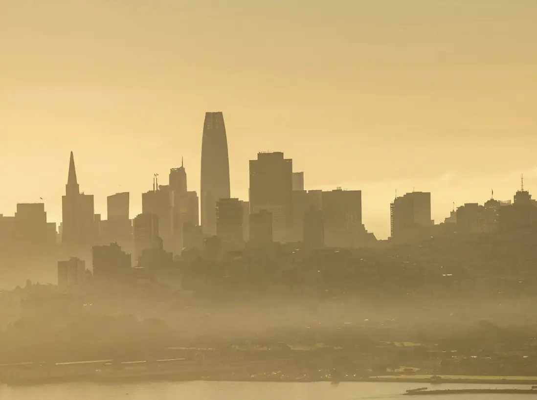 The Polilingua Advantage in San Francisco