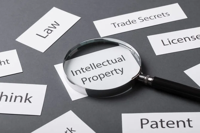 What Is IP Translation Services?