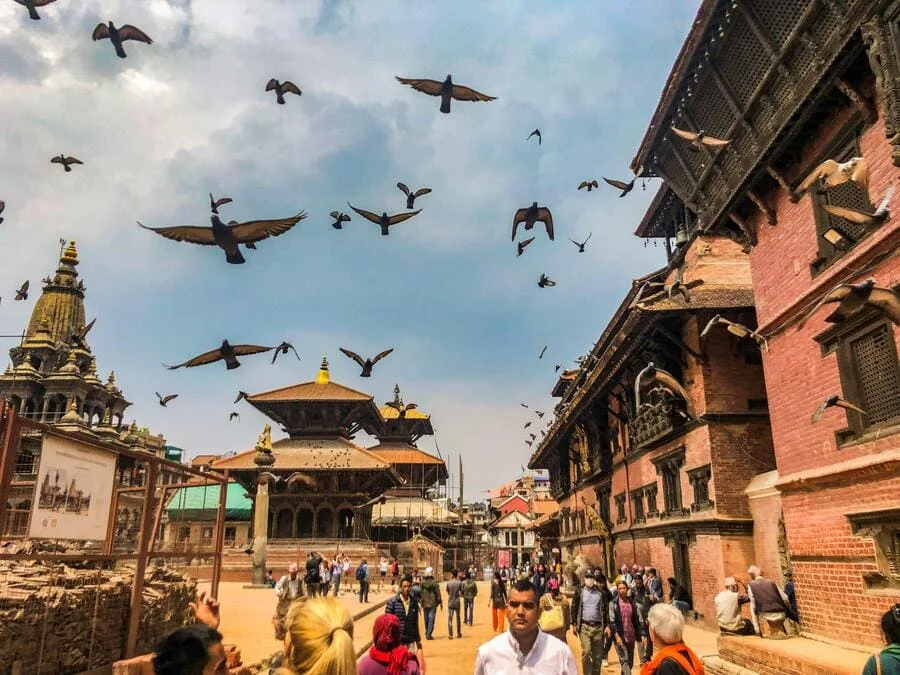 PoliLingua`s Nepali Translation Services