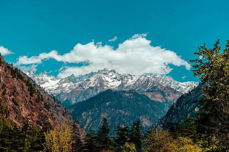 Nepali Business Translations