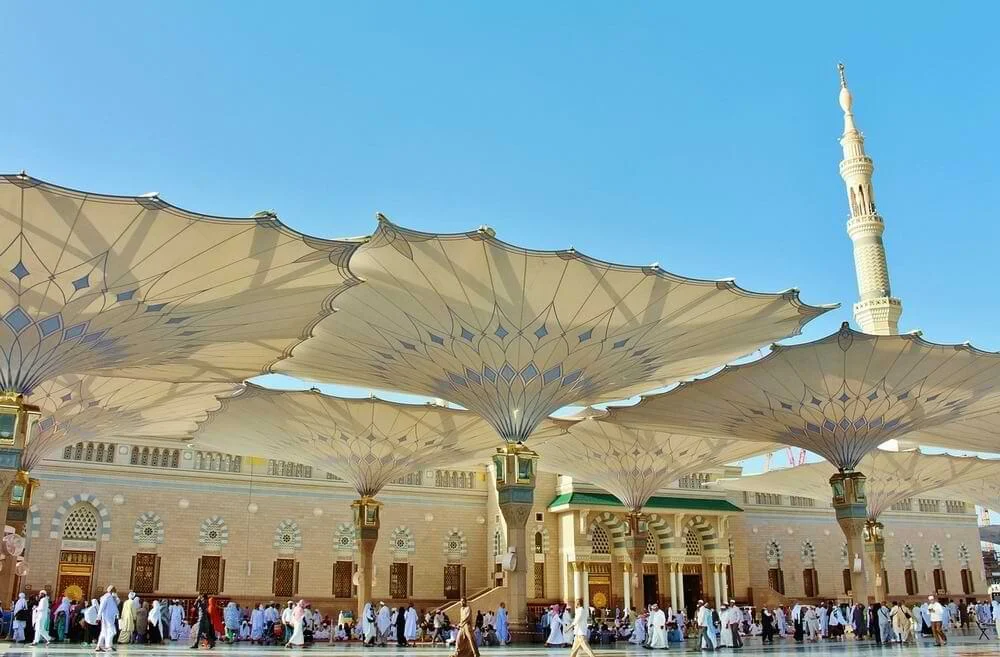 Professional Arabic language Writing Translation Services