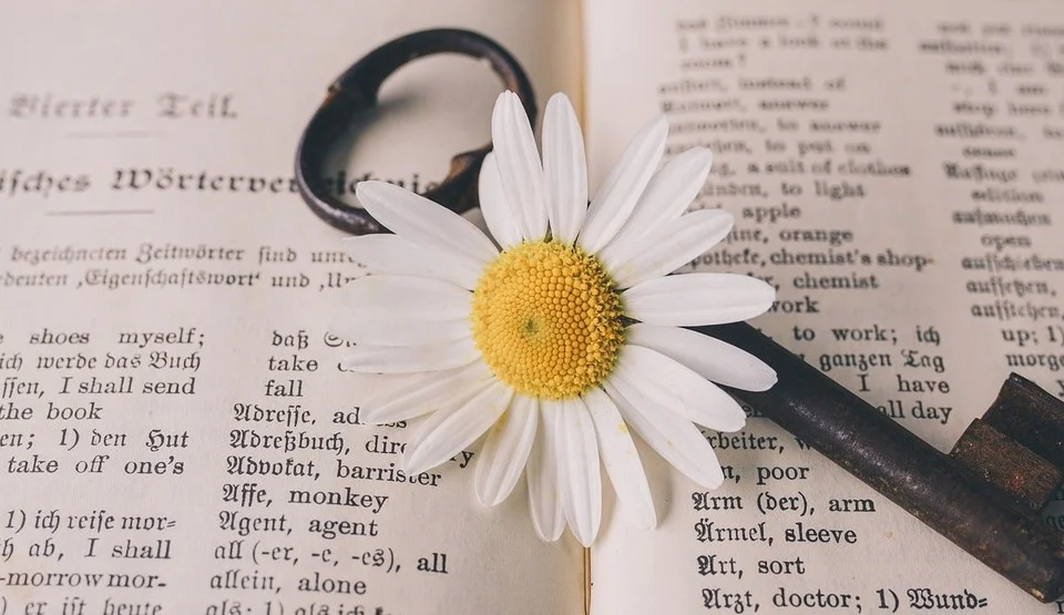 The Challenge of Translating Untranslatable Words