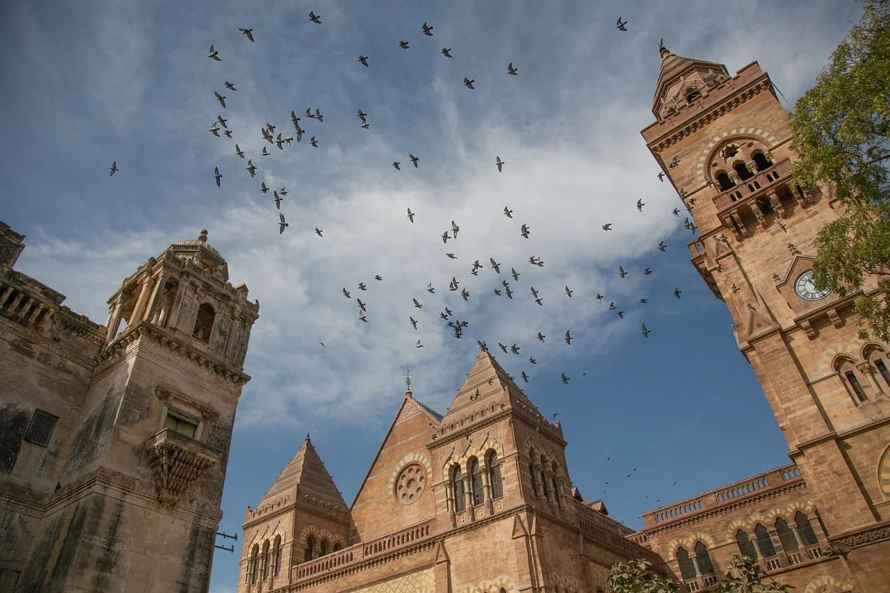 Must-Know Tips for Translating Gujarati to English