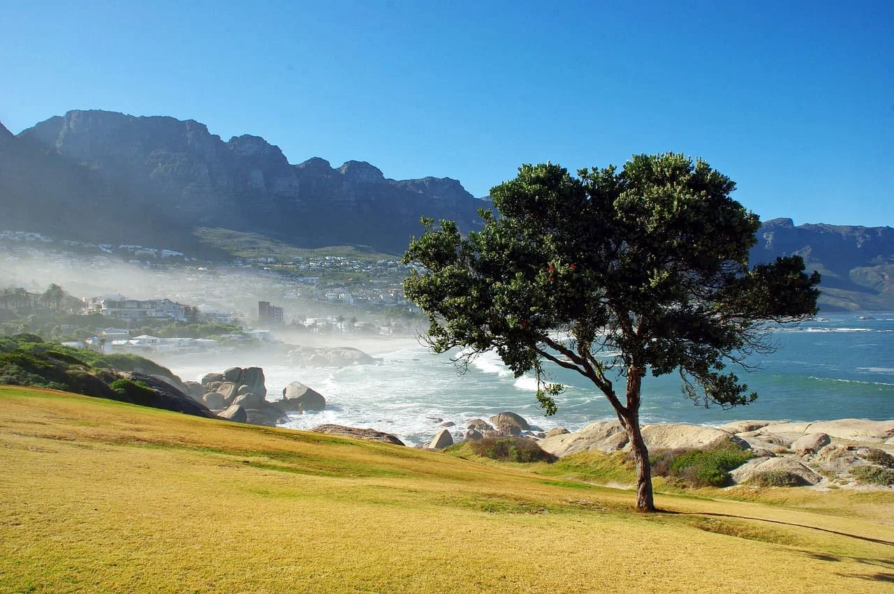 Tips for Accurate Afrikaans to English Translation