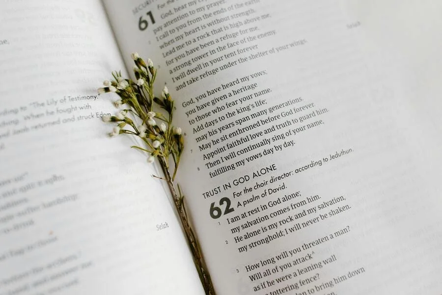 Is the New Living Translation Bible the Best Version Ever?