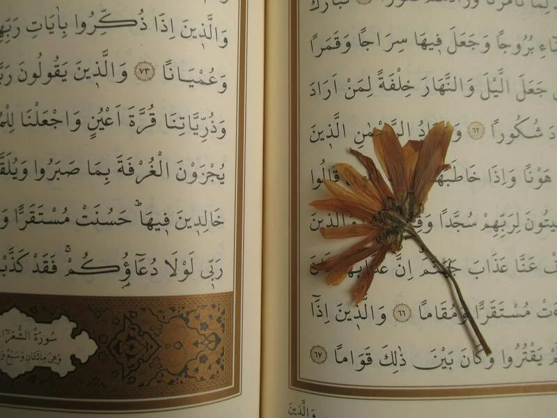 Top Farsi Language Facts and Translation Guide
