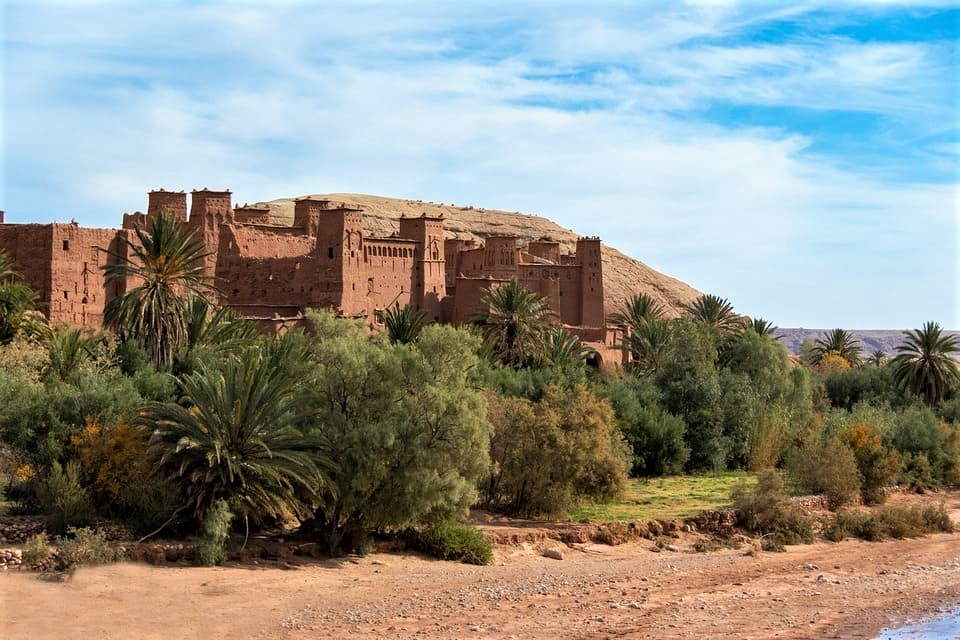 Berber Languages: Historical Evolution and Global Distribution