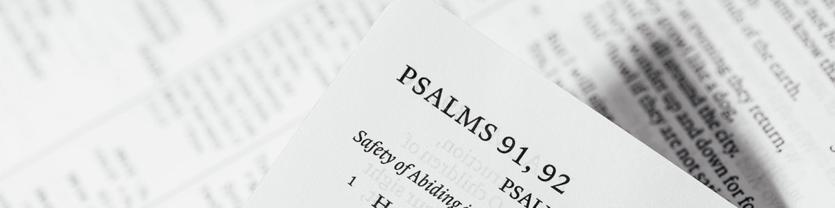 Legal Translation